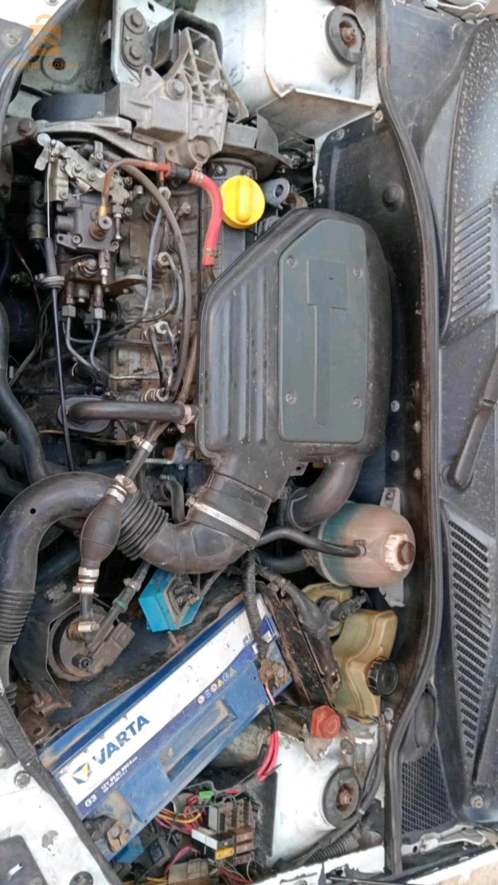 clio1