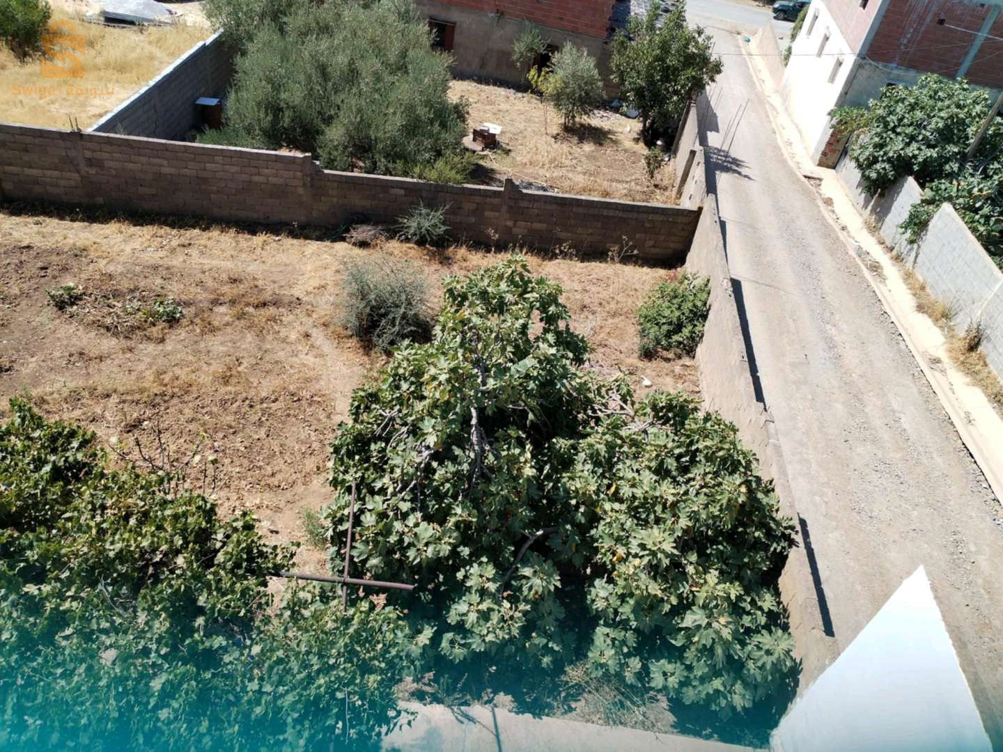 ترعي باينان ولاية ميلة