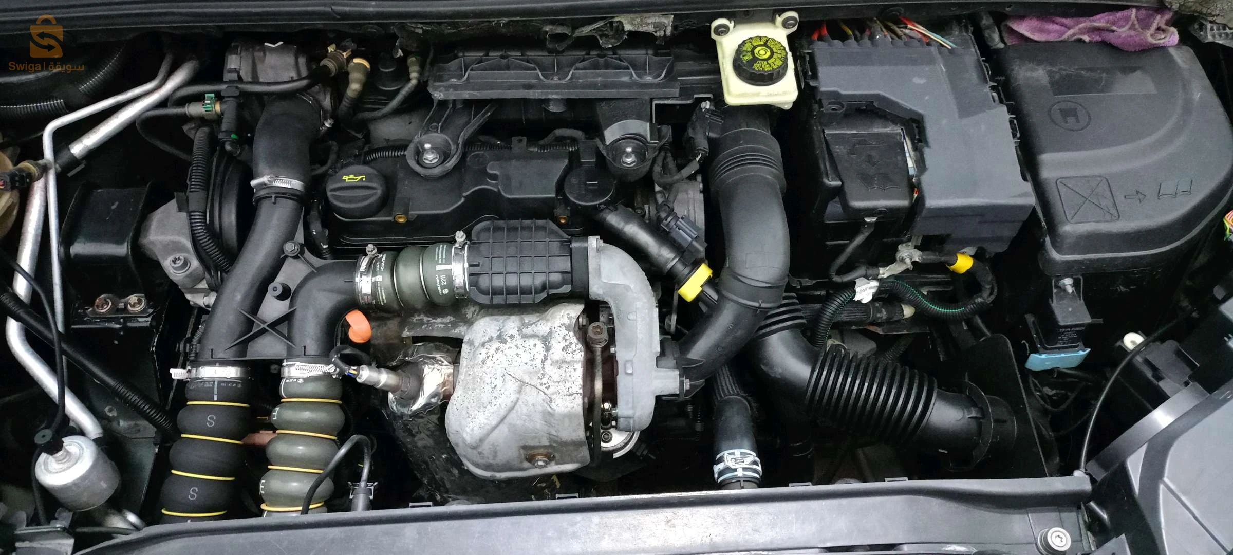 c4 2011