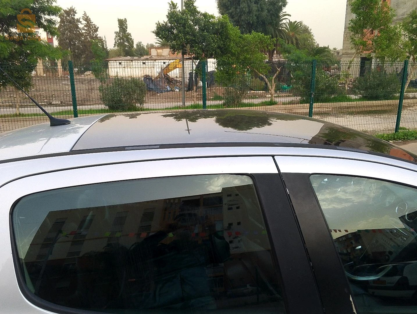 براقي الجزائر