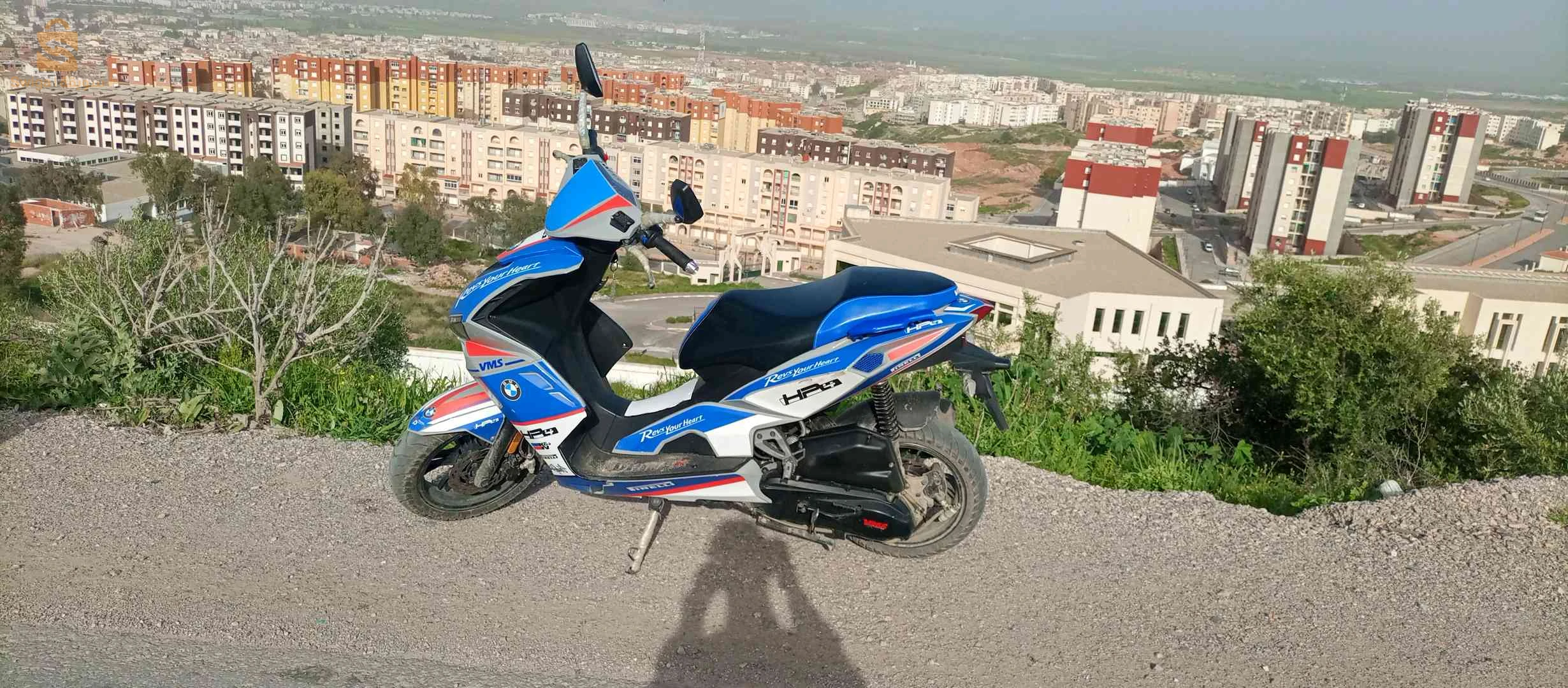 مطلوب