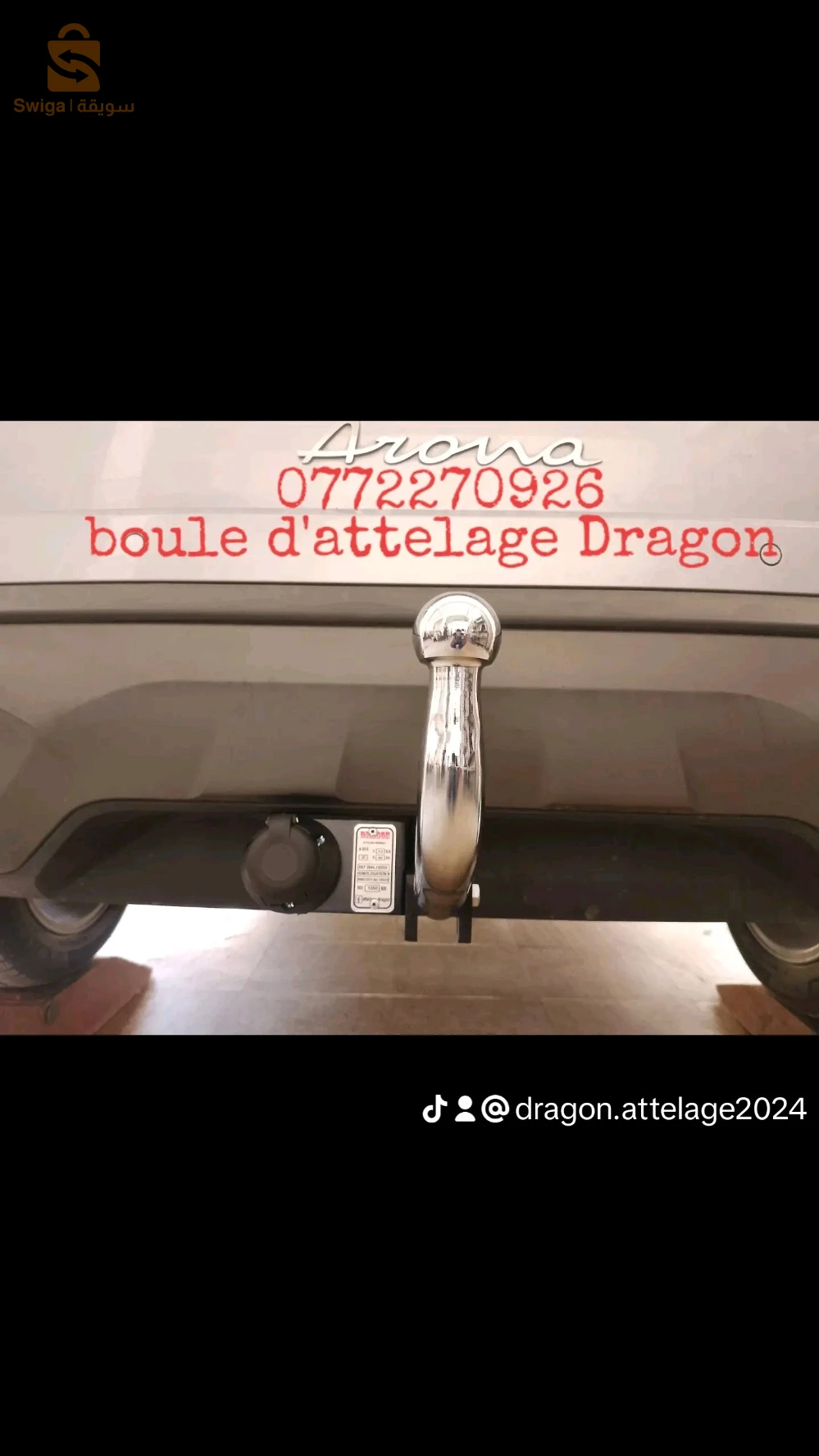 boule d'attelage Dragon