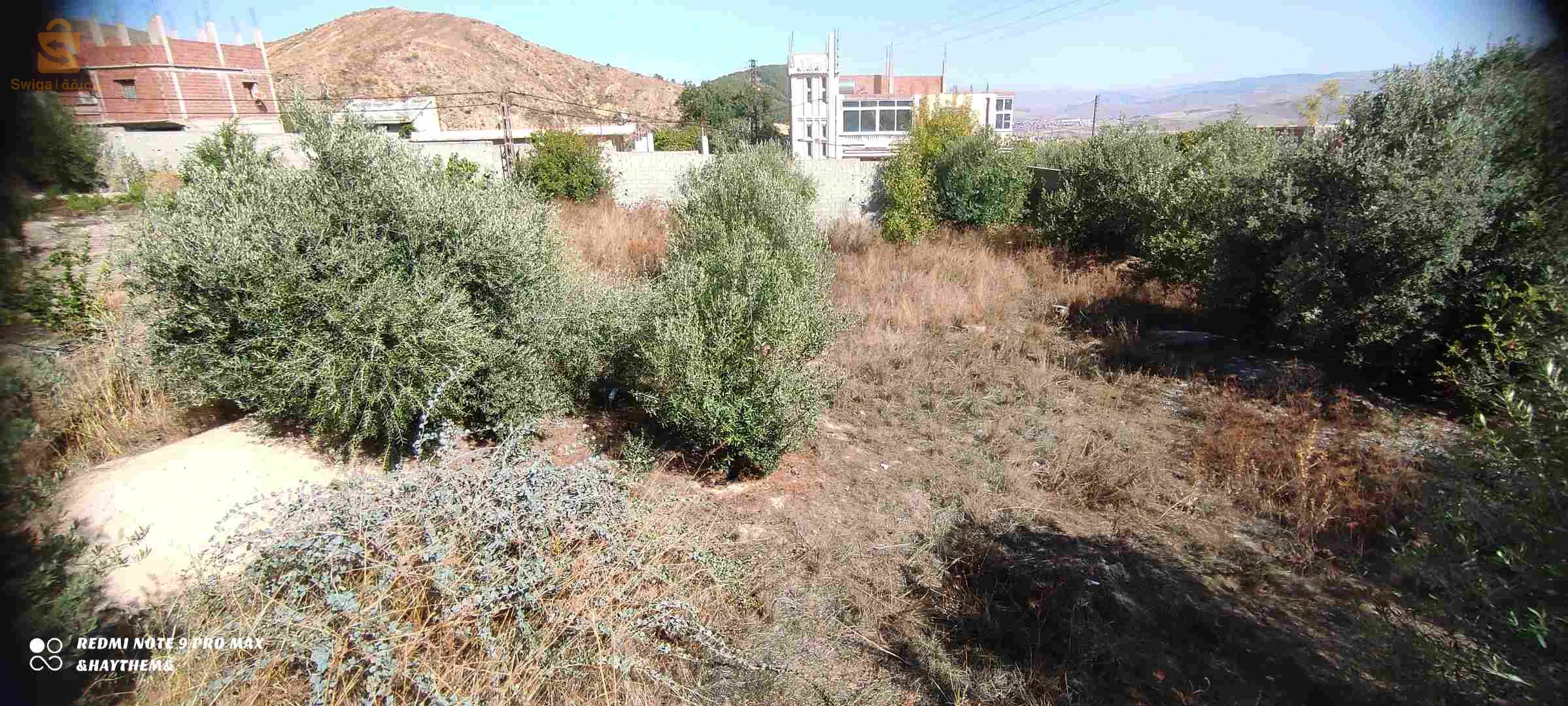 قطعة ارض على طريق ام الحجل .