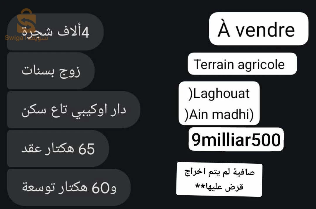 ain madhi
