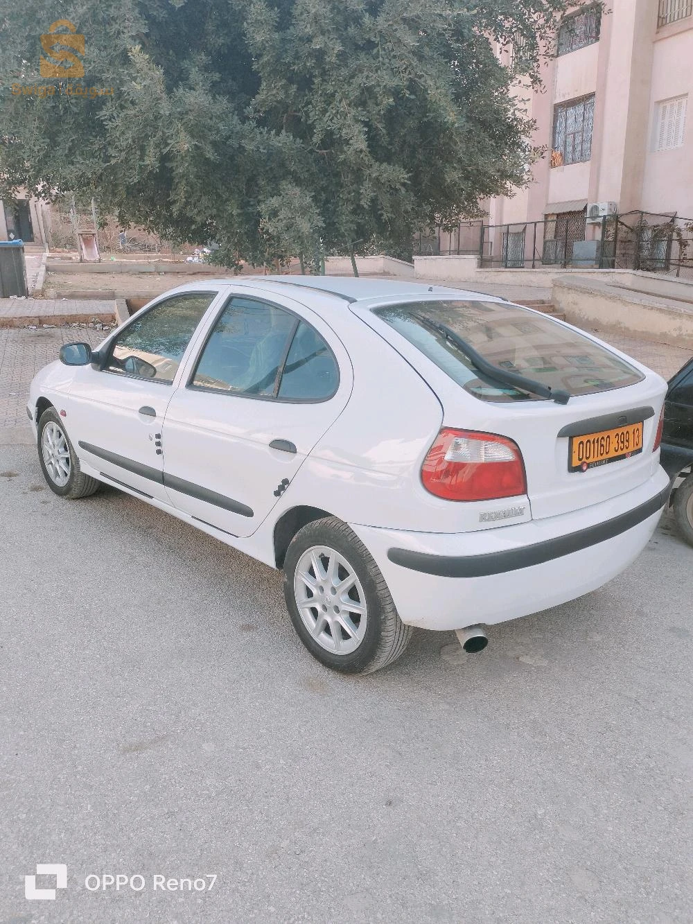 maghnia tlamcen