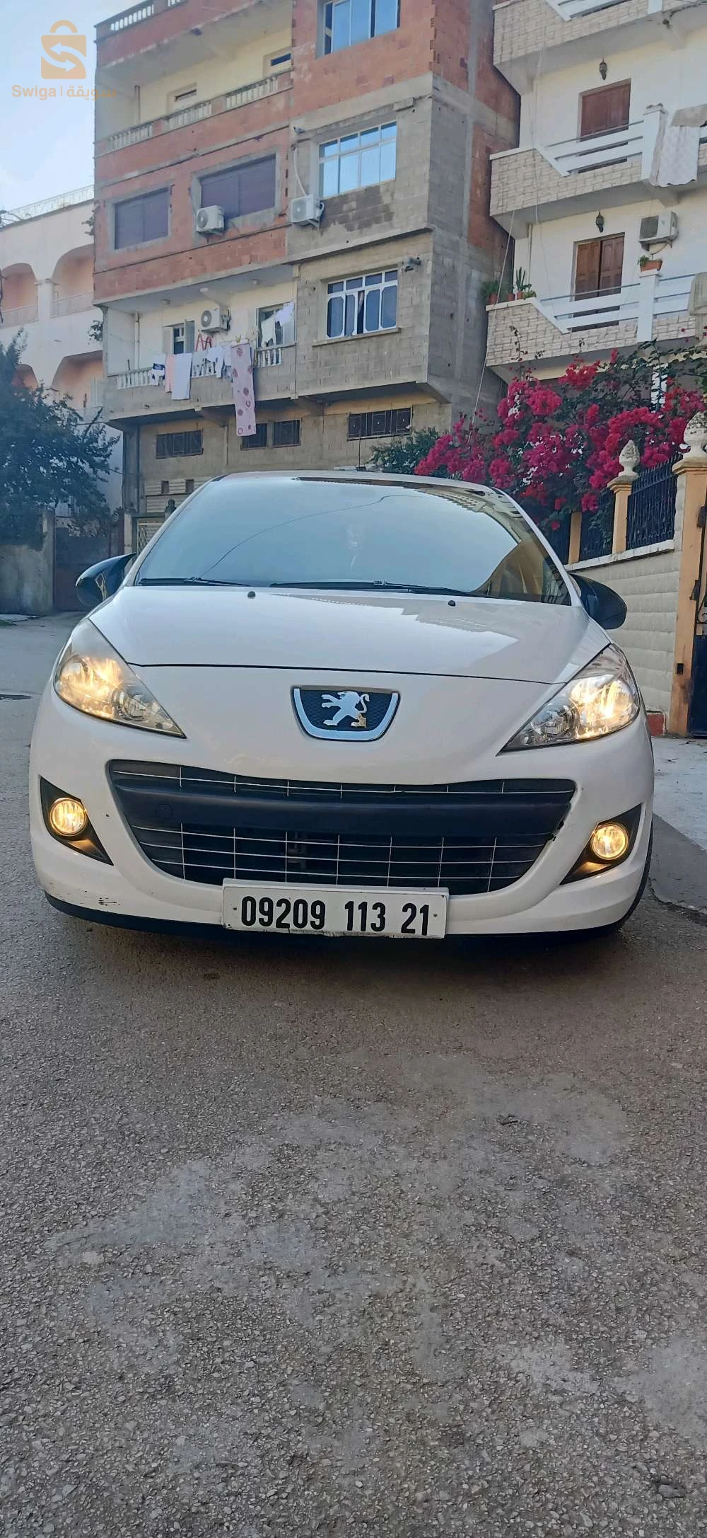 voiture première main zéro peinture