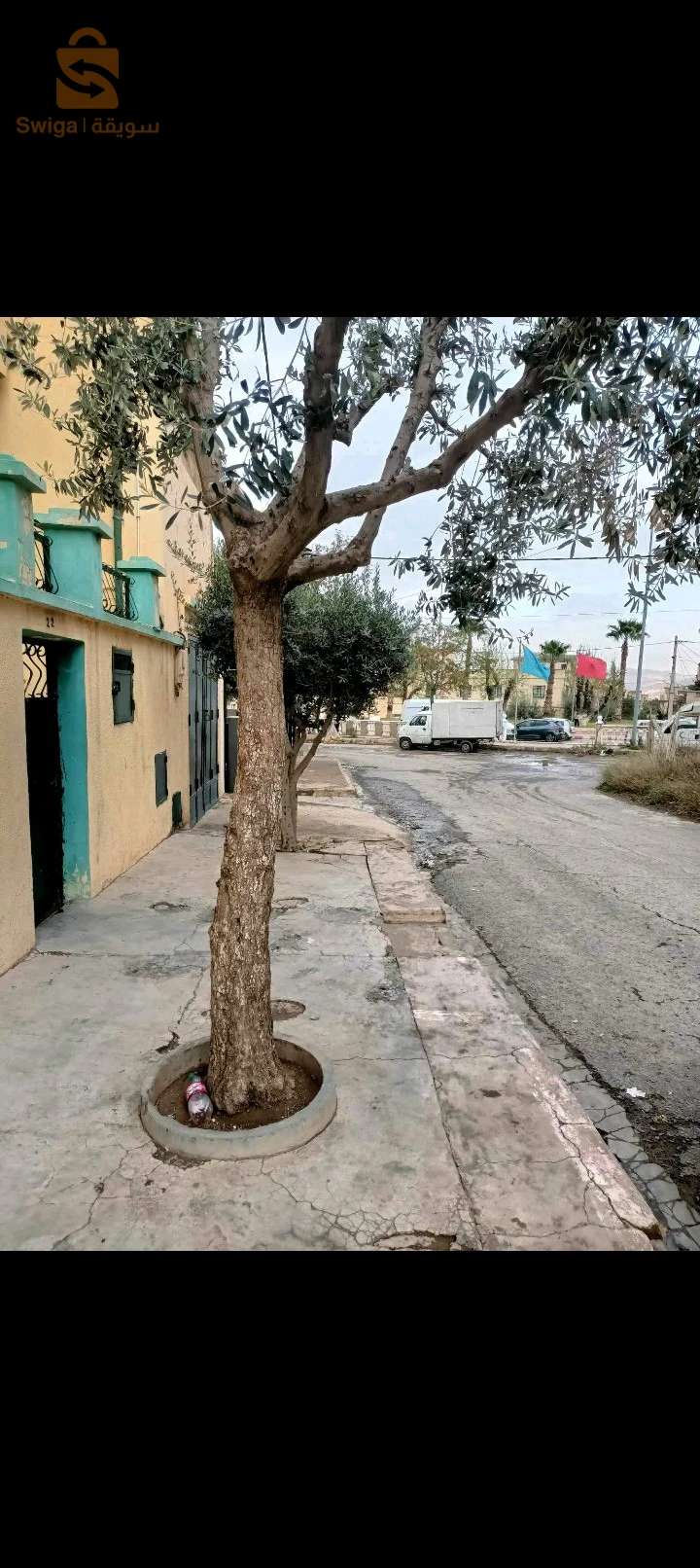 avendre une maison bien situé sité calme les dahlias