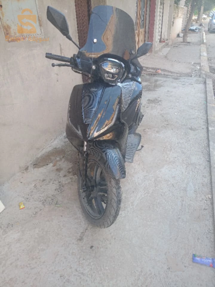 كورال جديدة