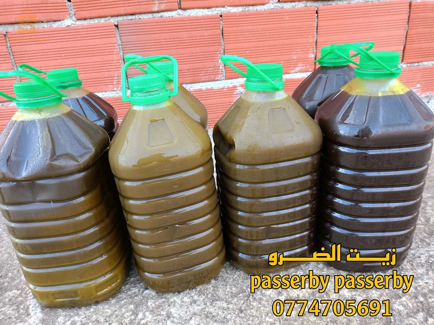 تمالوس ولاية سكيكدة