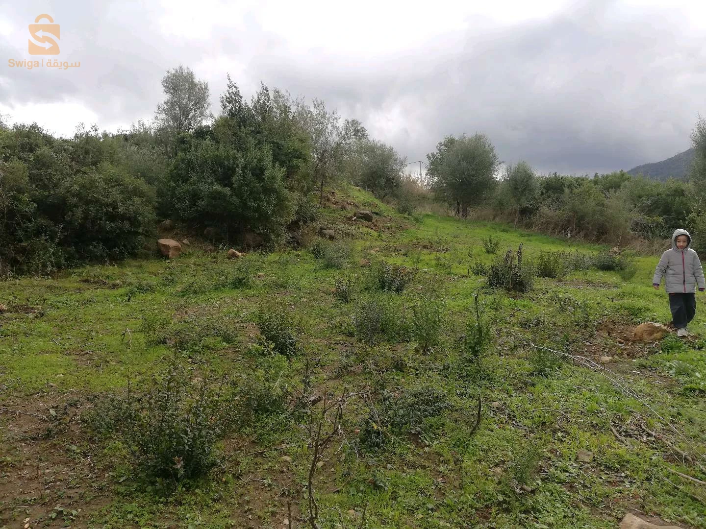 Terrain a vendre