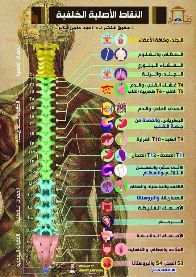 رأس العيون باتنة