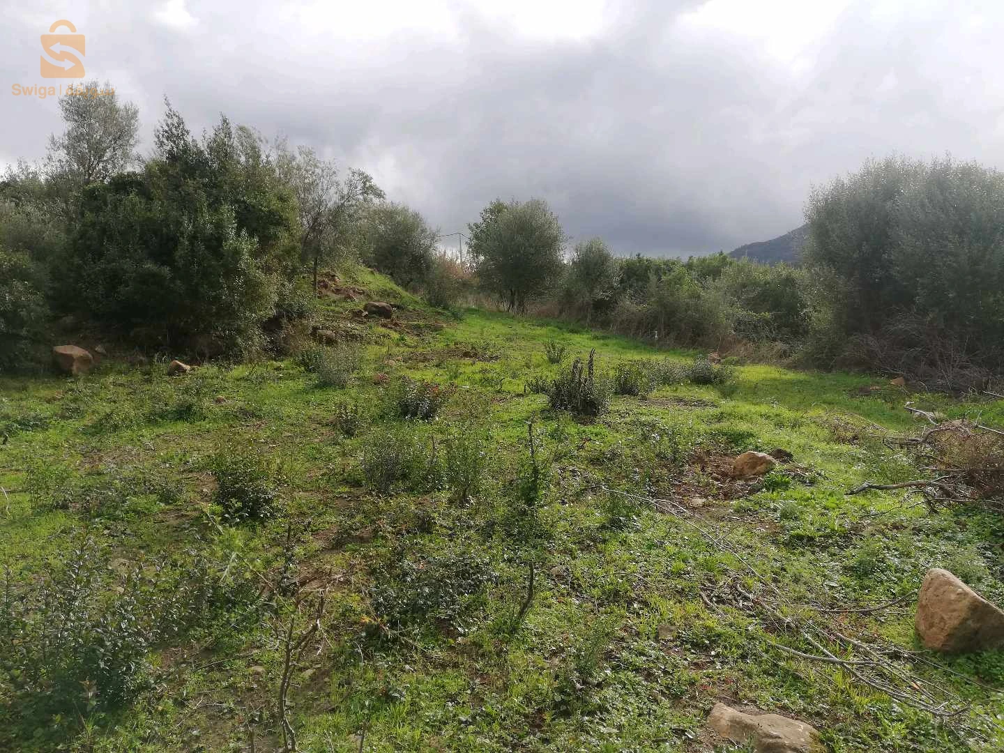Terrain a vendre