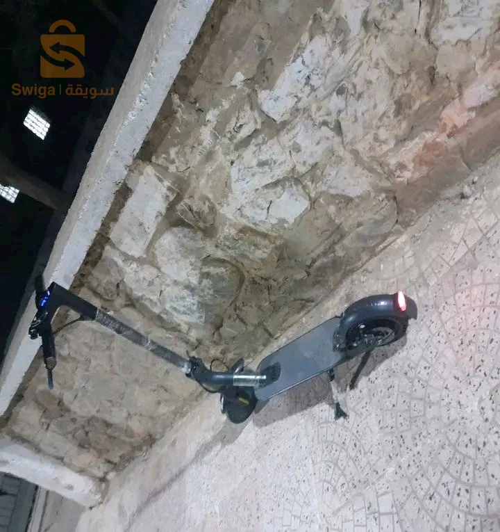 شلف بلدية تنس