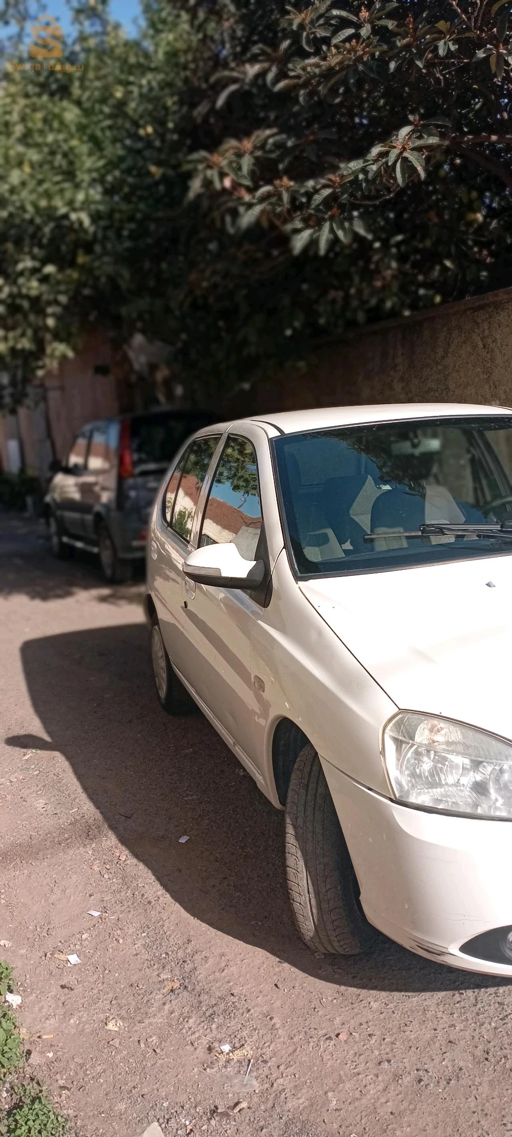 Tata andica