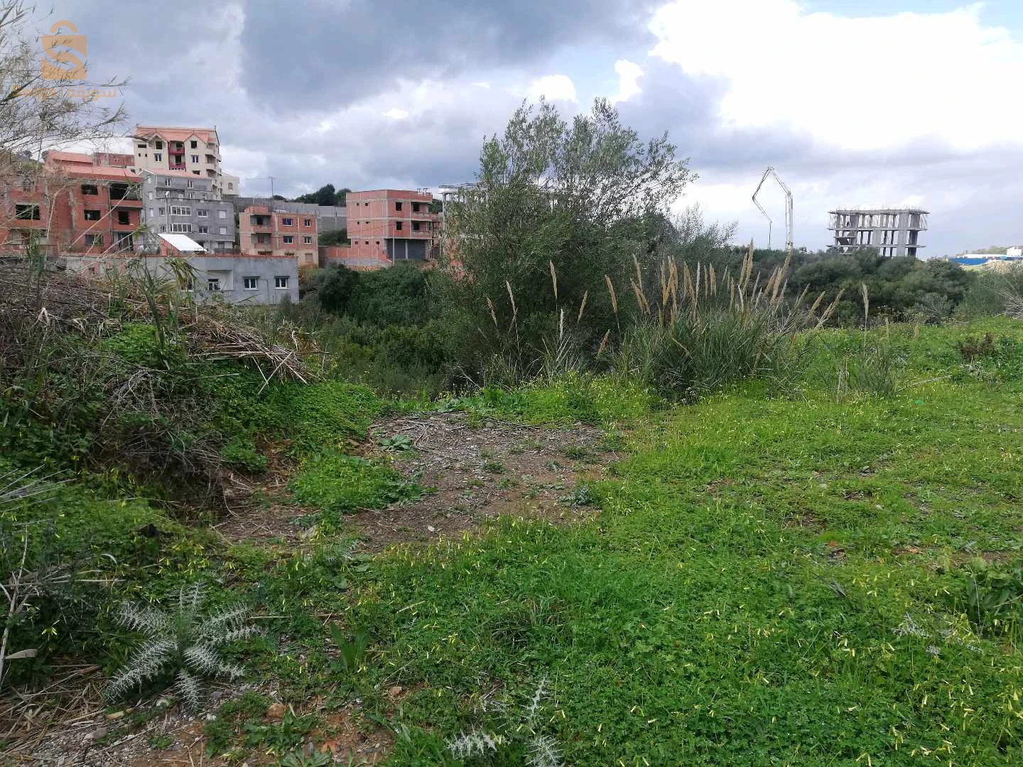 Terrain a vendre