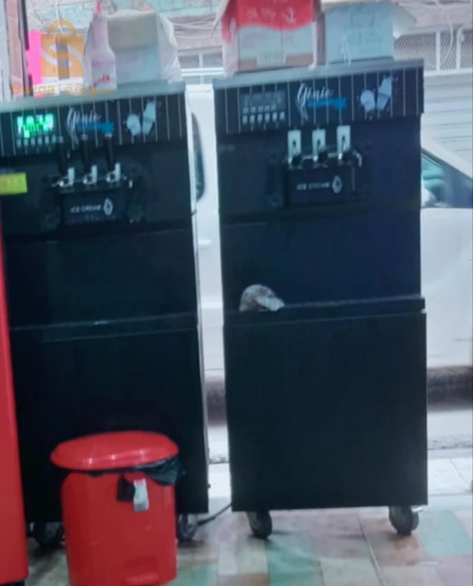 machine de crème presque neuf 380