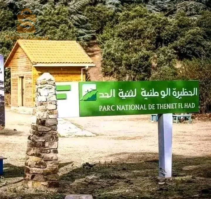 تيارت