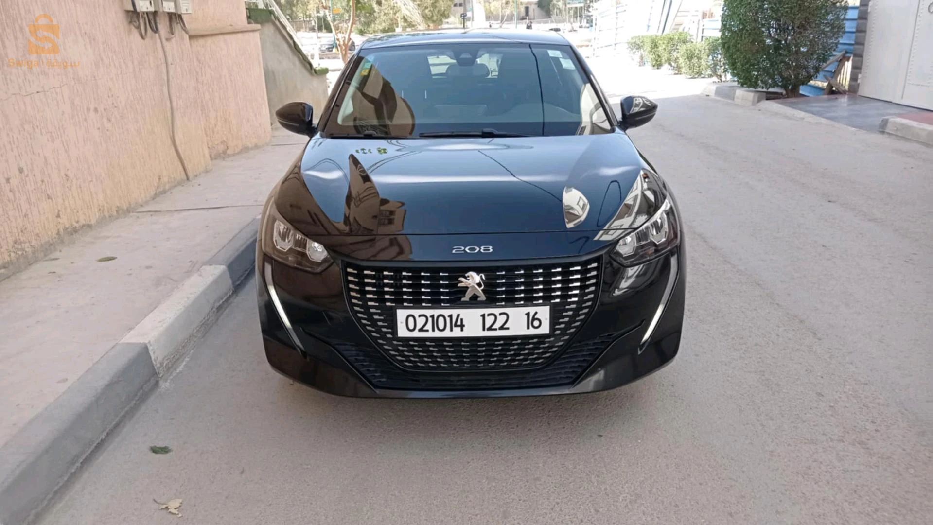 بيجو 208 2022 12 تبسة