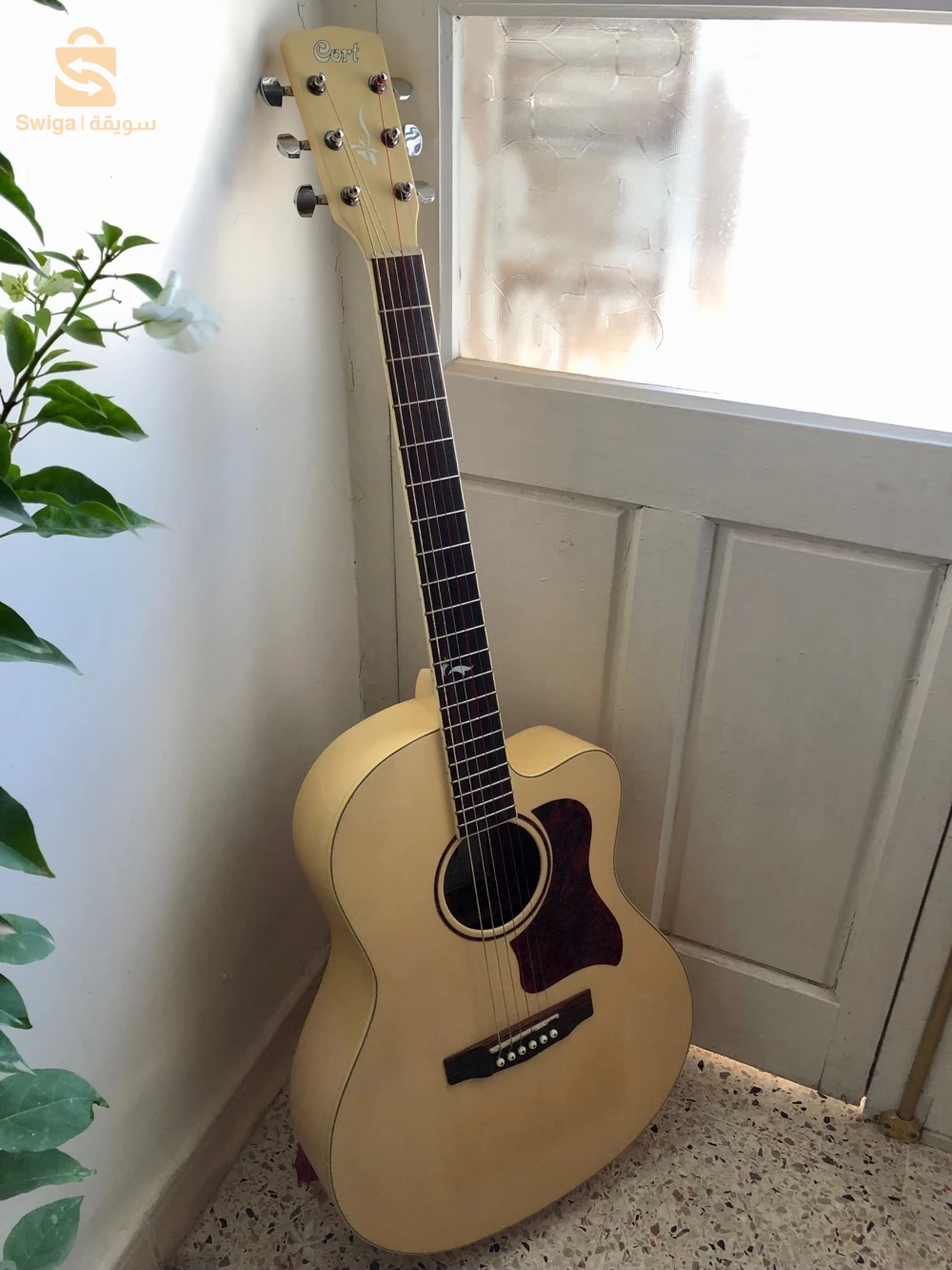 guitare acoustique Cort