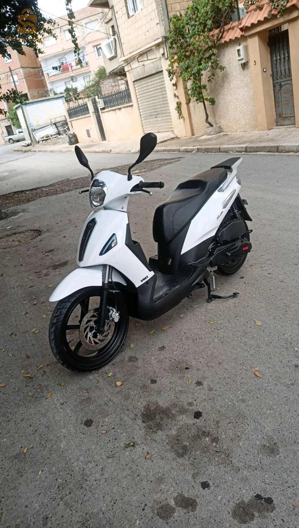 vms Twister flash 2023