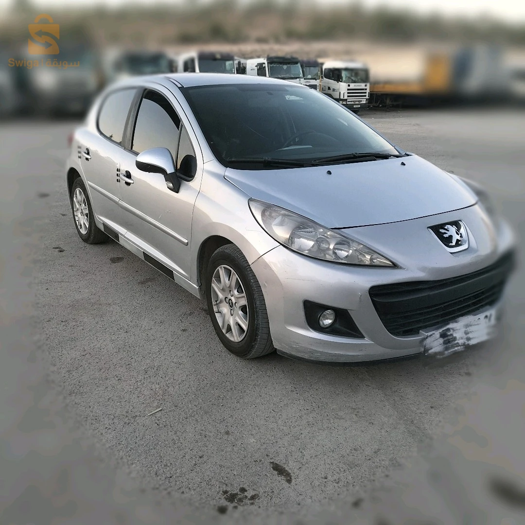 207 +سنة 2013