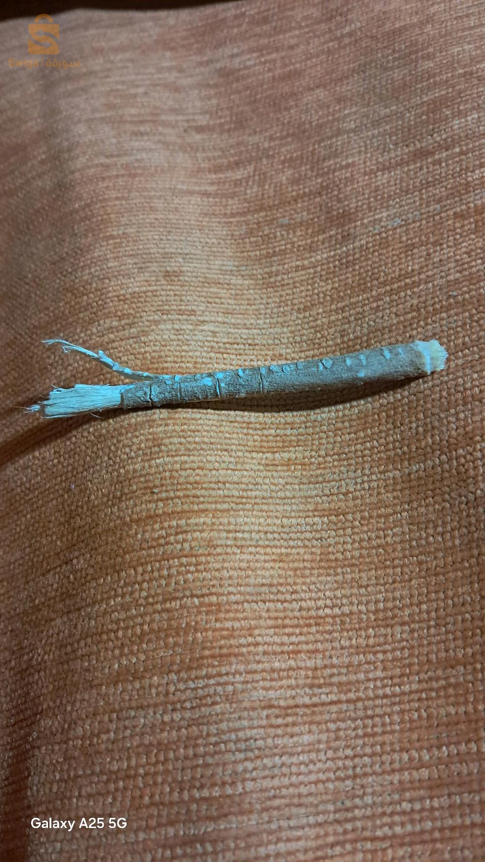 بليدة بوعرفة