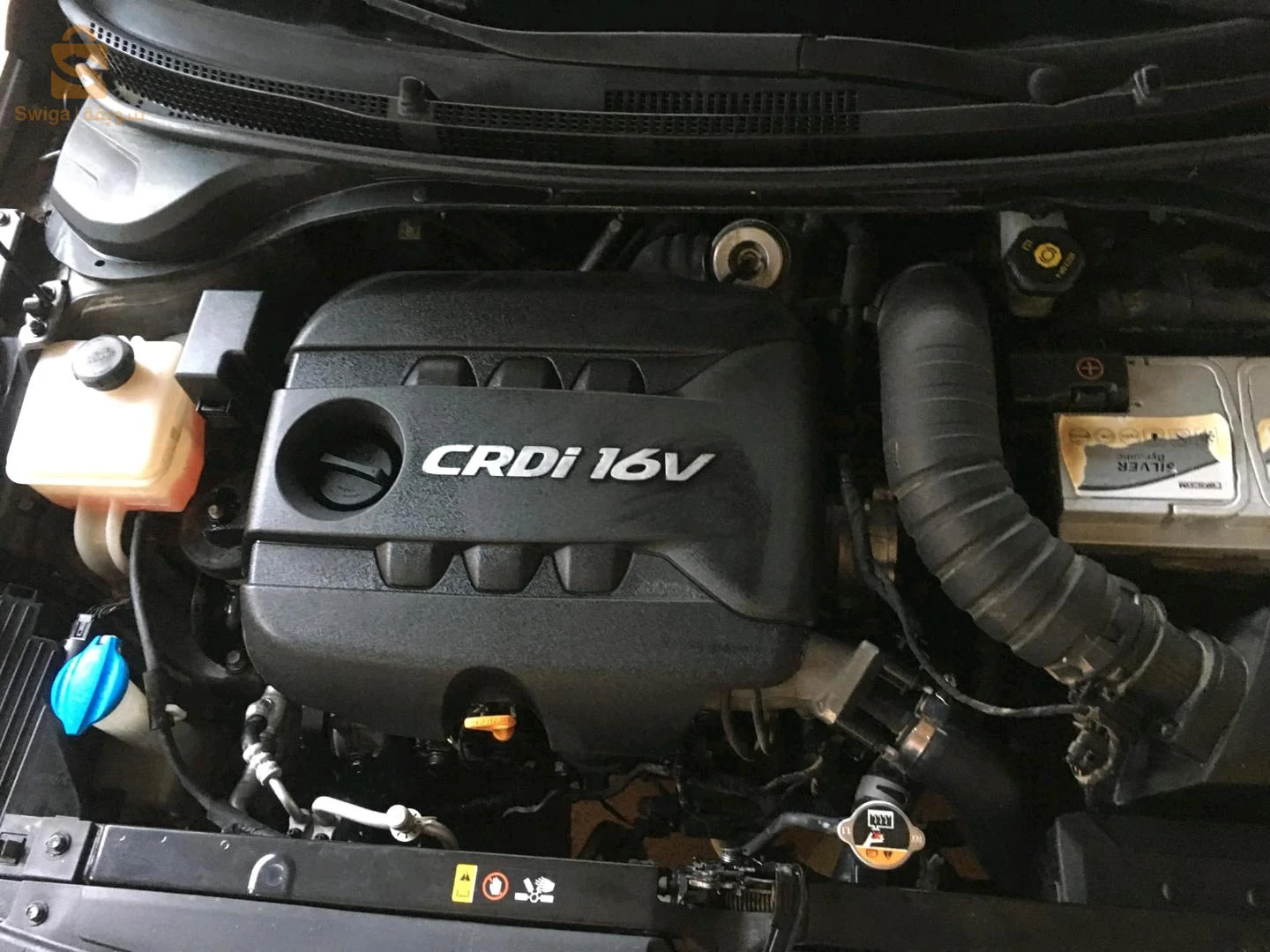 Accent crdi
