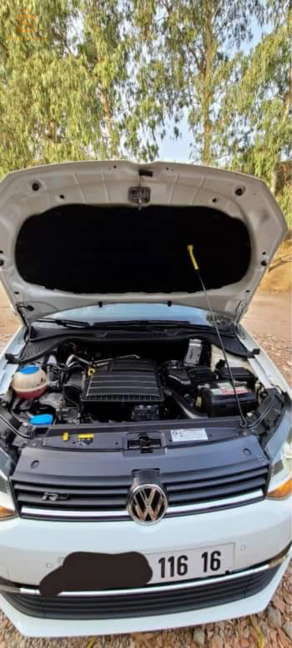 polo la carat plus finisouin Rlein