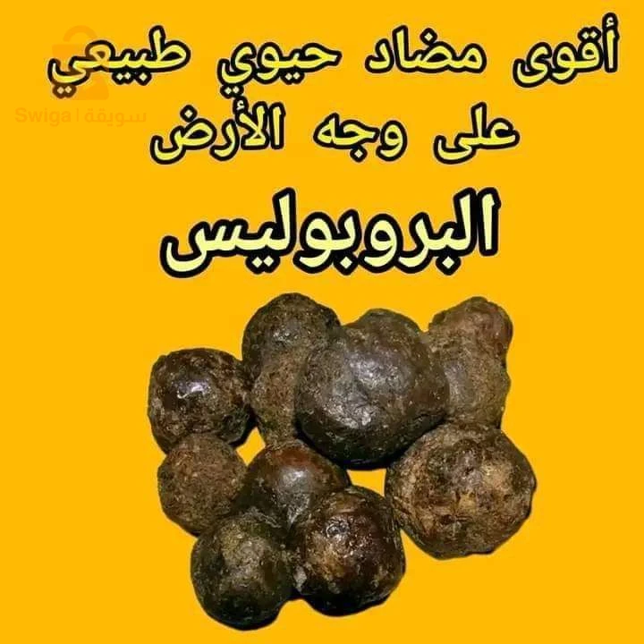 العسل الحر الحمامات تبسة