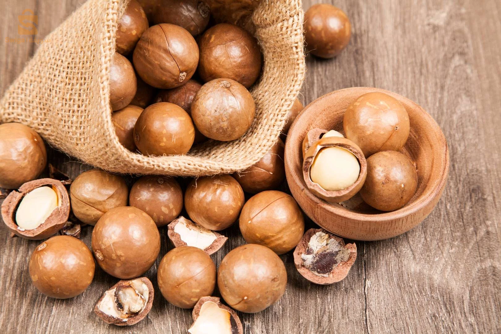 Macadamia - مكاداميا