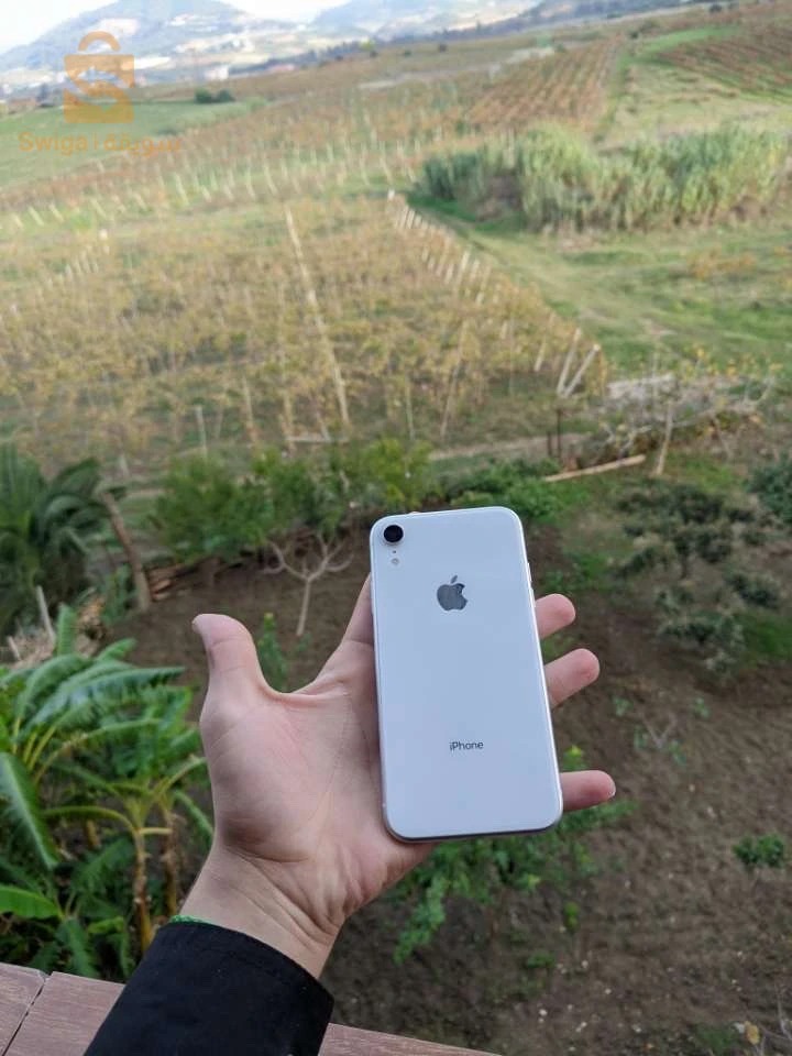 iPhone XR