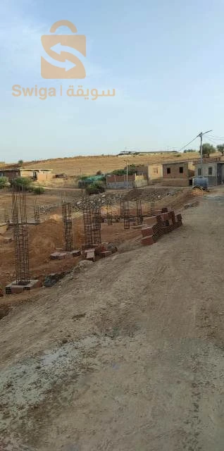 شلف أم اذروع ڨلافطيا