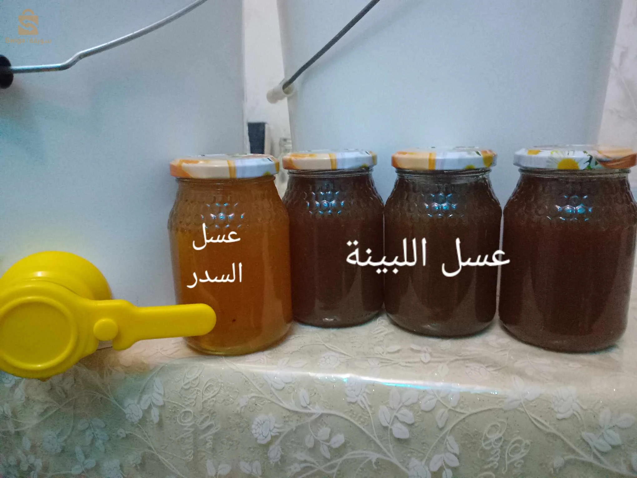 تمالوس ولاية سكيكدة