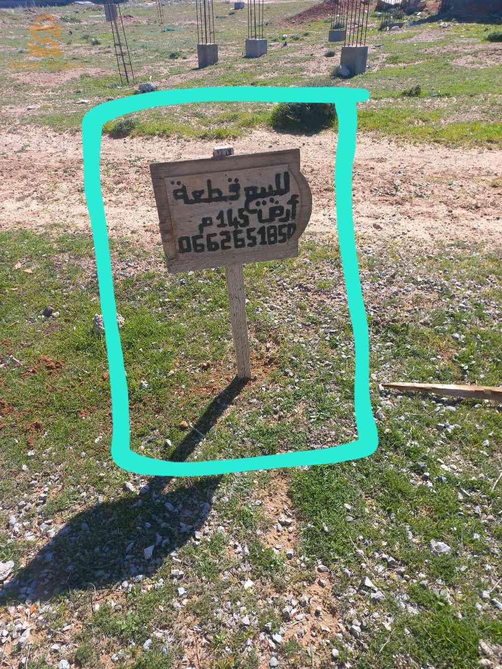 عاشوري علي مداروش/سوق اهراس