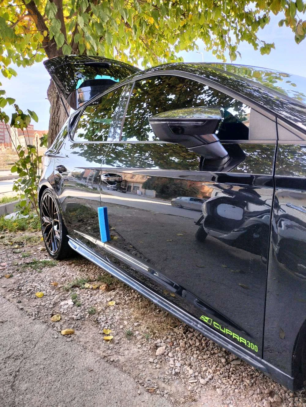 cupra 2016  والو بانتورة