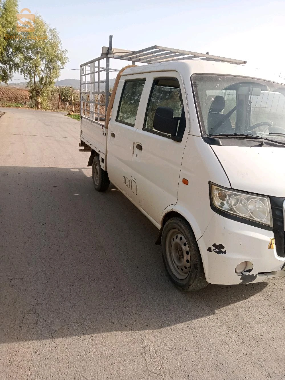 بورقيقة تيبازة