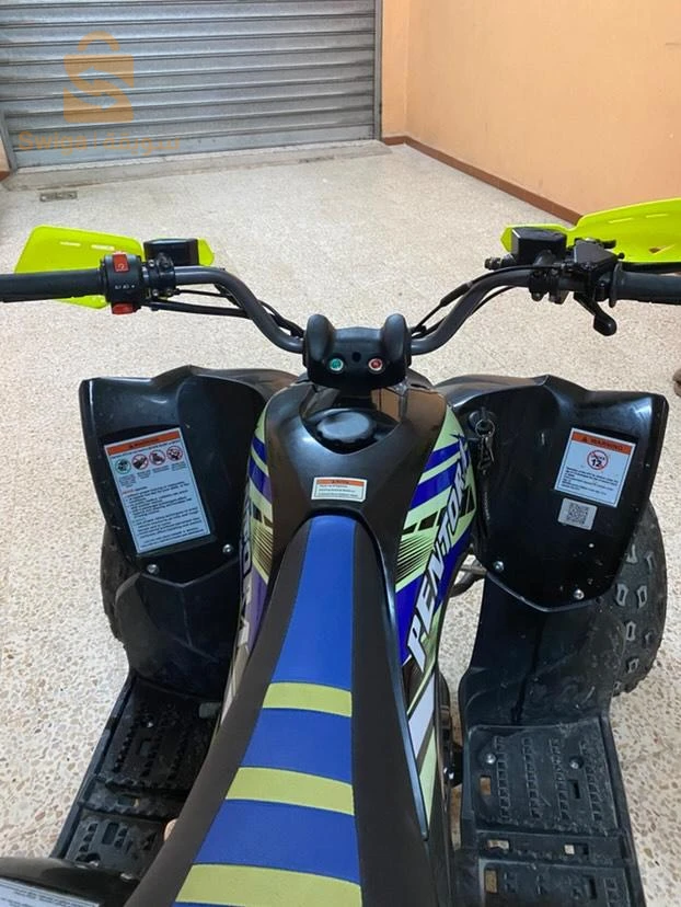 VMS Quad Raptor 125CC 2024