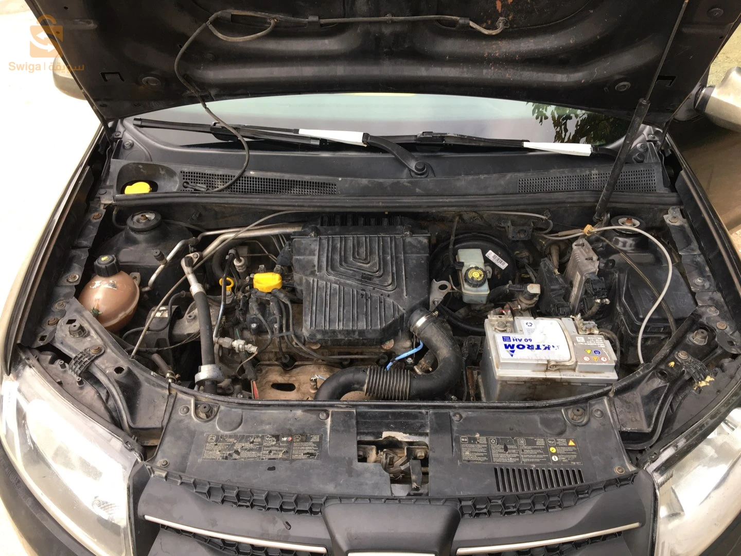 sandero