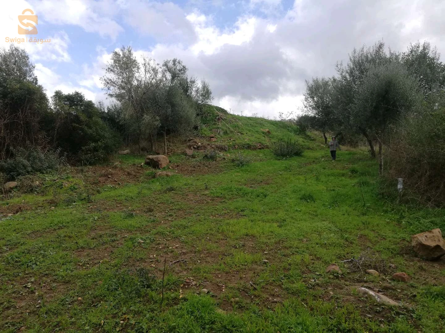 Terrain a vendre