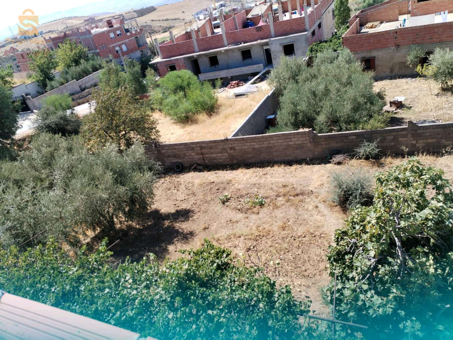 ترعي باينان ولاية ميلة