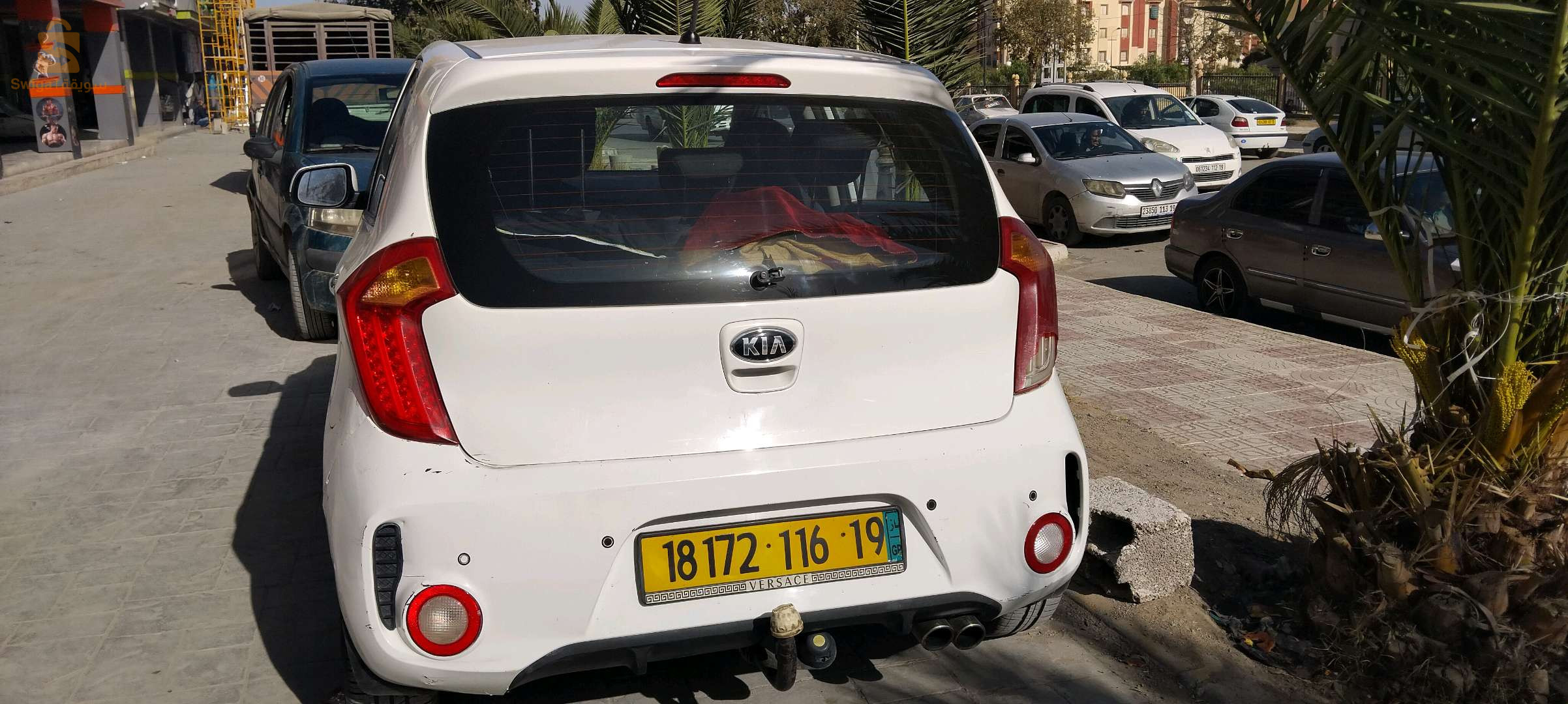 بيكانطو سبورت لاين