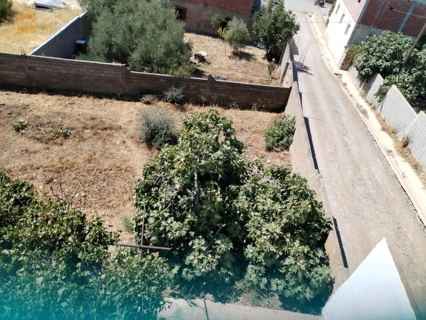 ترعي باينان ولاية ميلة