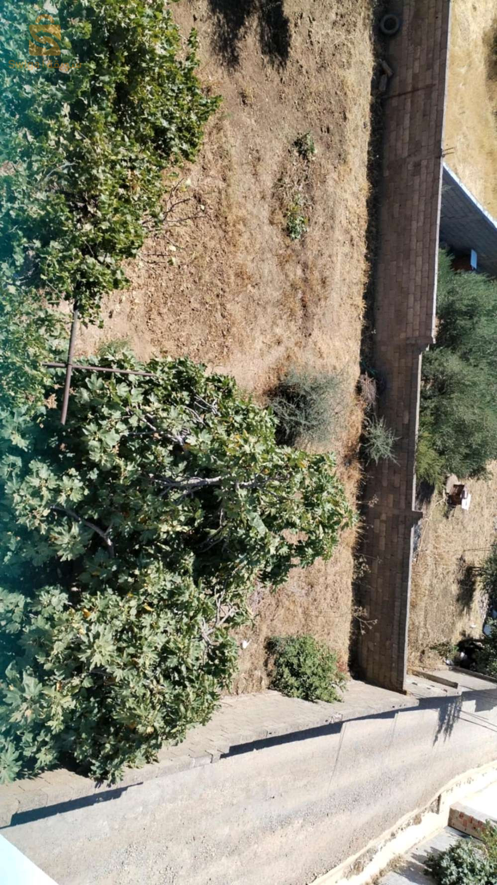 ترعي باينان ولاية ميلة