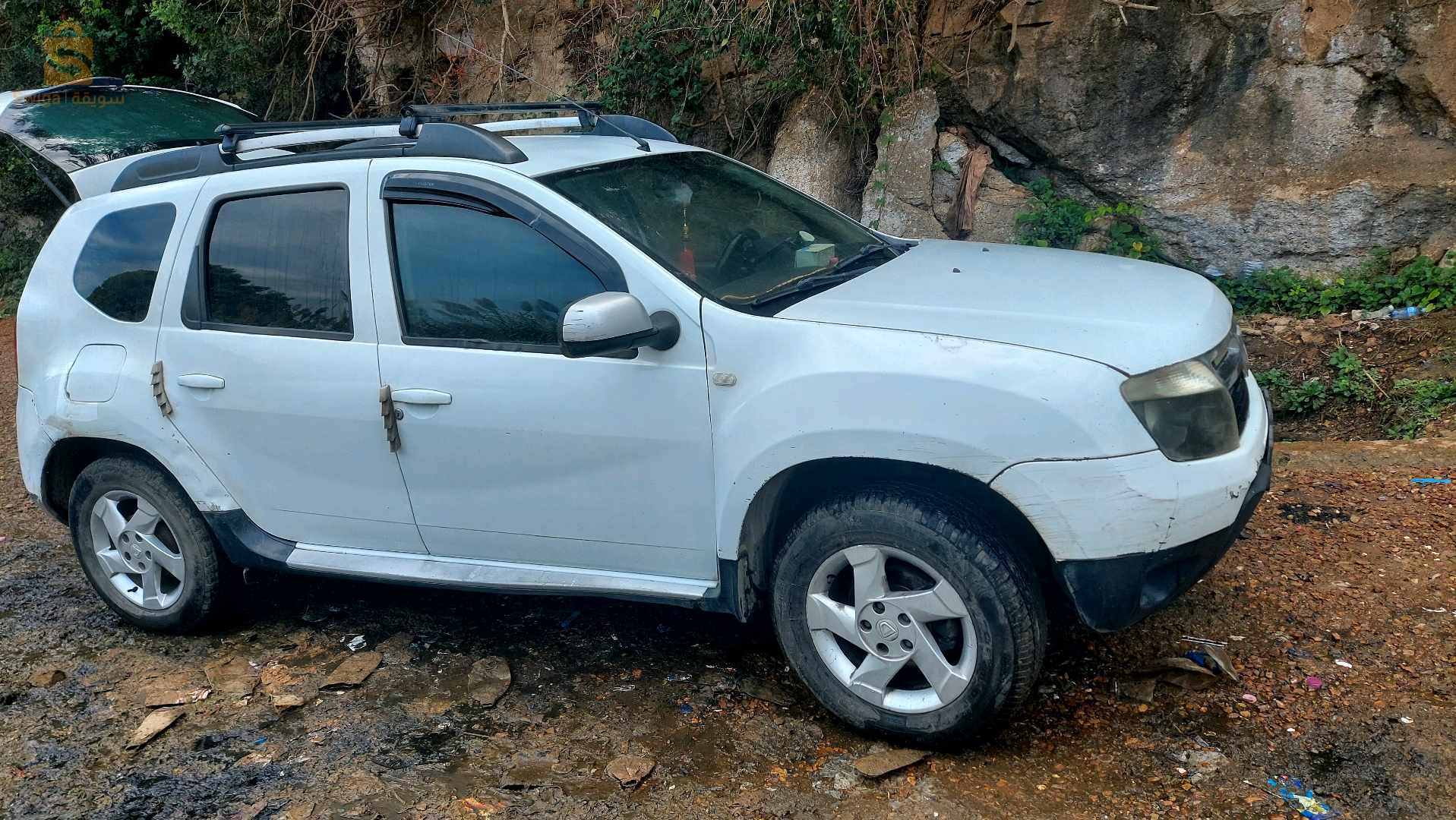 دوستر