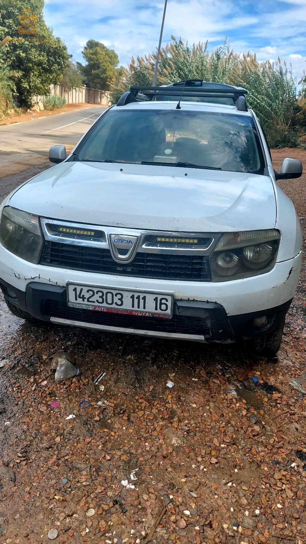 دوستر
