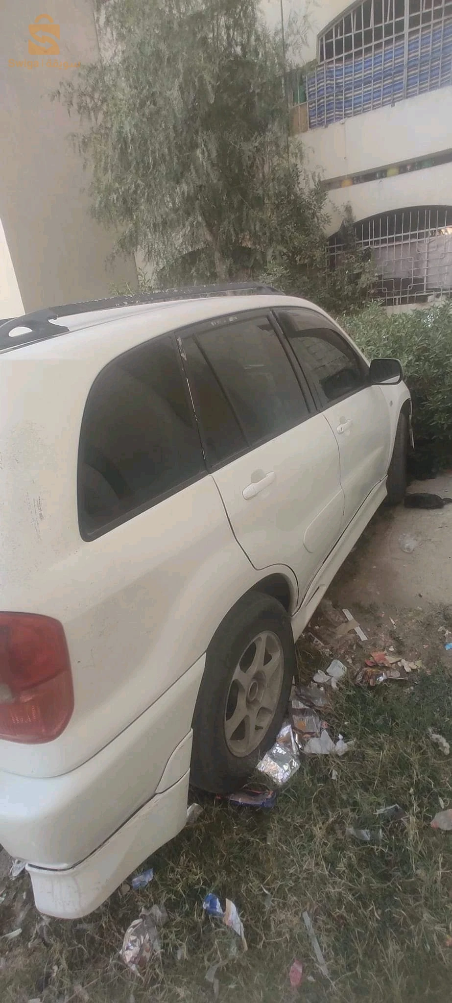 المدية