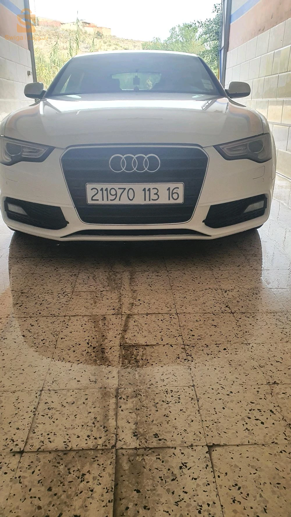 سيارة نقية