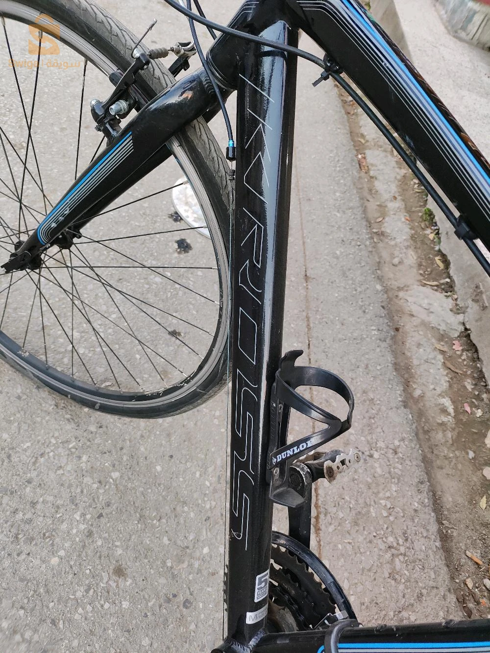 عزابة سكيكدة