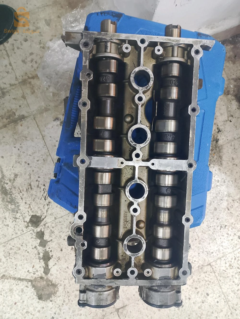 دلس واد تيزة