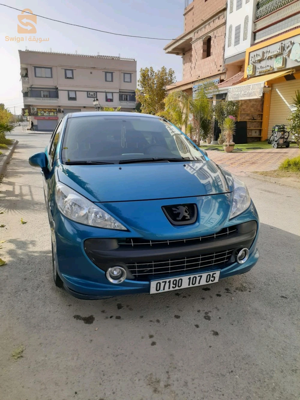207 سلعة زينة
